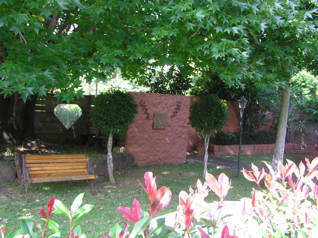Sapphire Motel Korora Szoba fotó